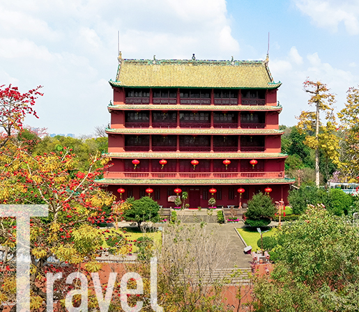 Travel