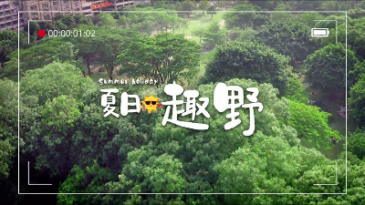 城市里的小森林！越秀絕美夏日露營地，說走就走！