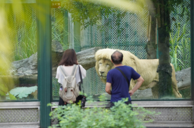 綠色越秀 | 沉浸式逛動物園，這些“毛茸茸”治愈力max！