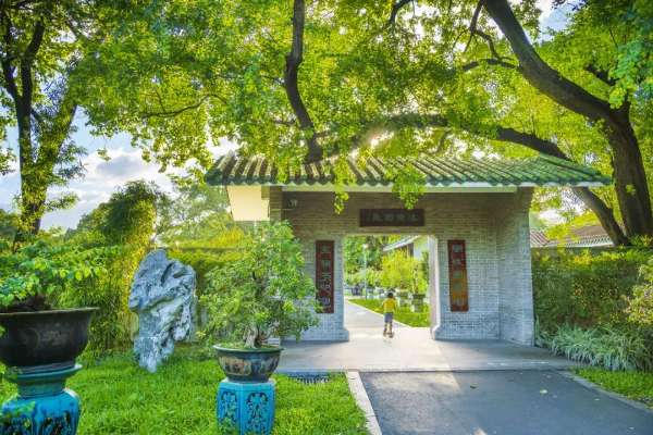 圖片