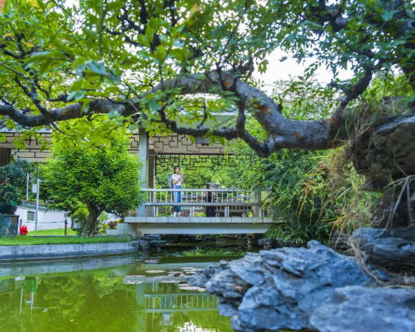 圖片
