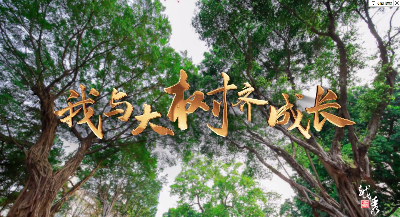 我與大樹齊成長！這間小學里有棵寶藏級古樹