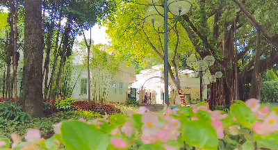 藏在公園的純白空間！“陌上花開”，美好緩緩歸來......