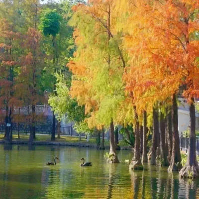 遇見 更美的越秀公園 | 贈你冬日里的專屬浪漫