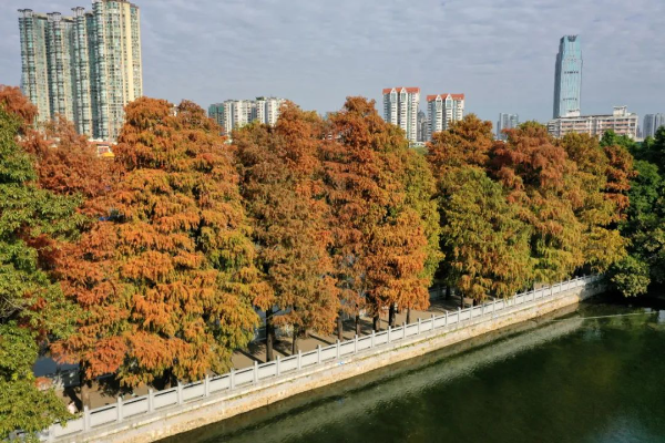 東湖公園
