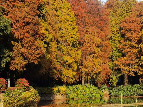 流花湖公園