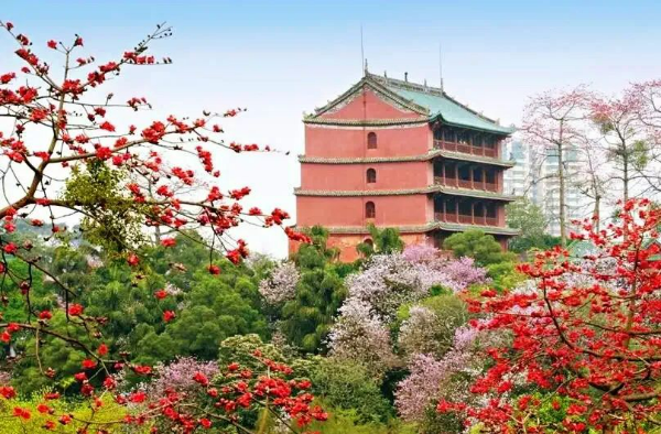 圖片