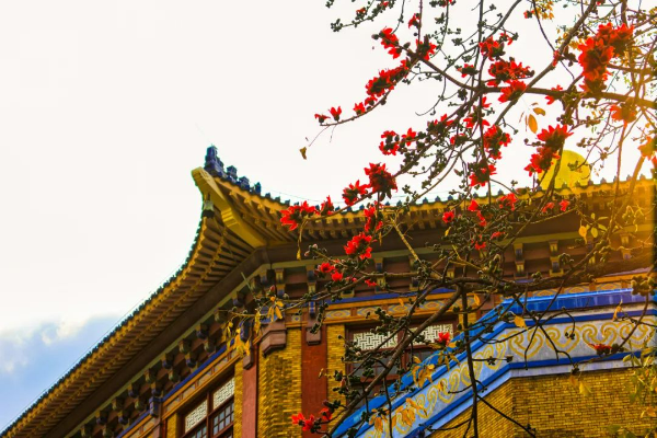 圖片