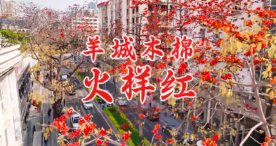 向往的春天，從越秀這些地方出發(fā)