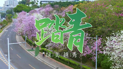 地球日來了，去踏一種很新的青