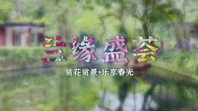 蘭緣盛薈丨踏青賞蘭，古風出片，越秀新晉頂流是它！