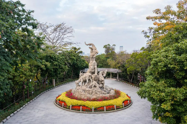 圖片