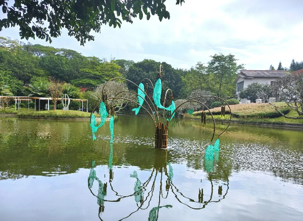 圖片