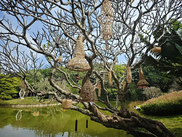 圖片