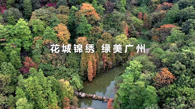 花城錦繡 綠美廣州