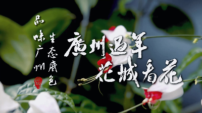 品味廣州生態(tài)底色