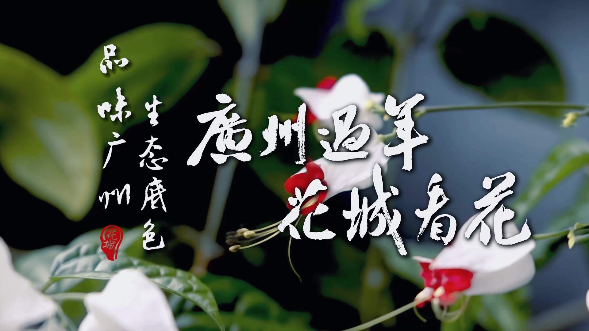 品味廣州生態(tài)底色