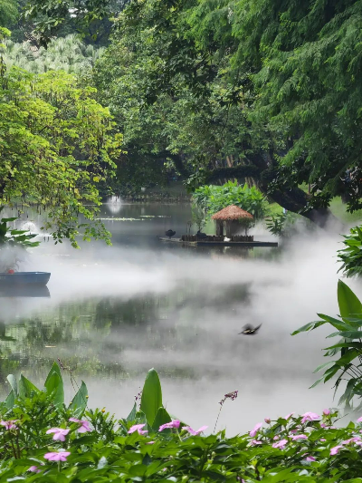 霧漫東秀湖，越秀公園仙氣飄飄