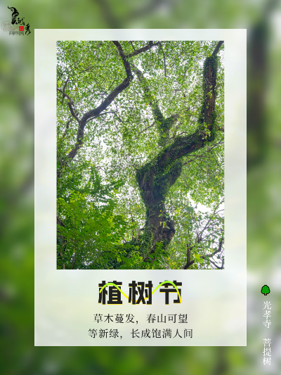 在越秀，享受植“愈”時光
