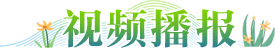 視頻播報